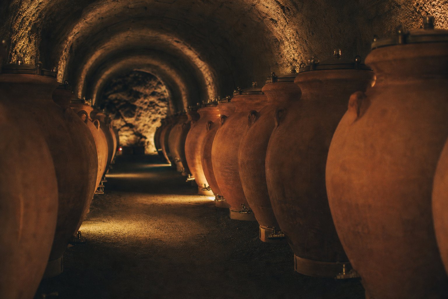 Viñedos del Valle de Casablanca — Bodegas RE