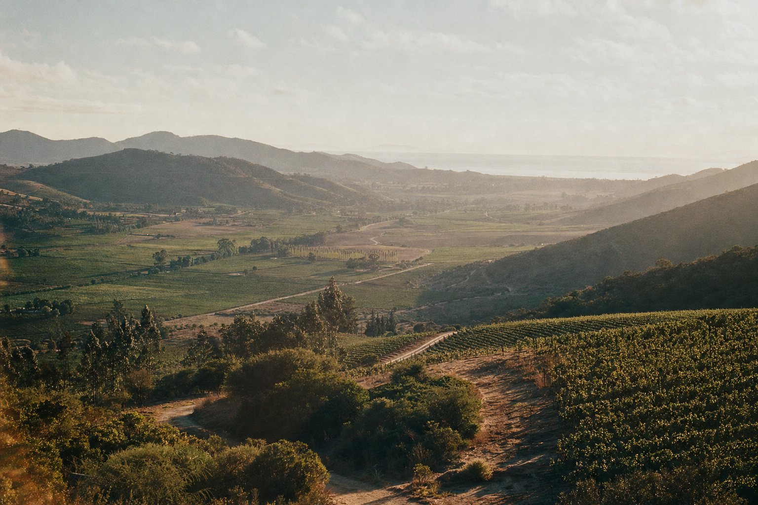 Valle de Casablanca — Casablanca, Chile: el valle, el clima y qué visitar