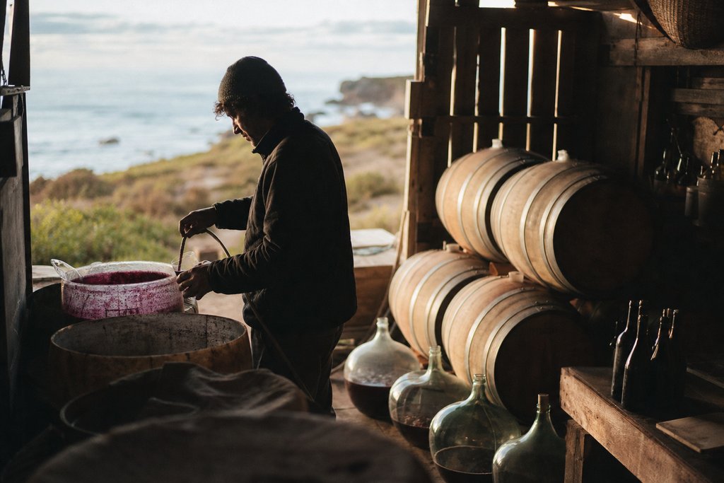 Viñedos del Valle de Casablanca — Tinta Tinto